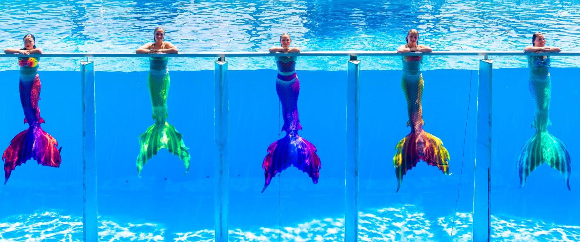 Daima Biz Hotel - Dolusu Aquapark Access Kemer Extérieur photo